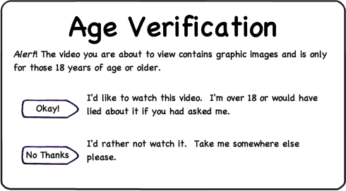 age_verification.png
